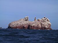 Los Islotes Islands